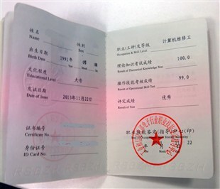 計(jì)算機(jī)維修工 軟硬件與外圍設(shè)備制造全解析